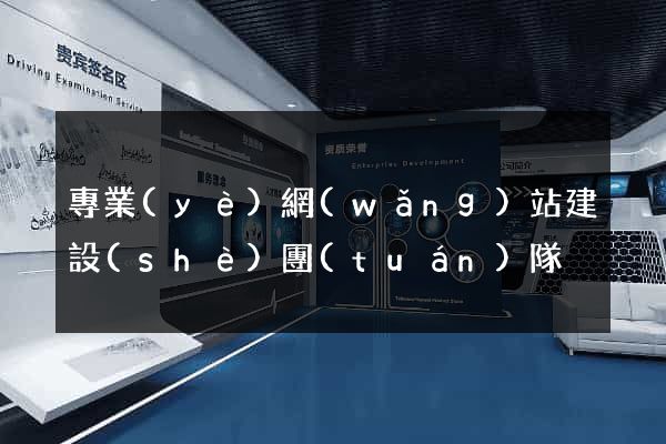 專業(yè)網(wǎng)站建設(shè)團(tuán)隊