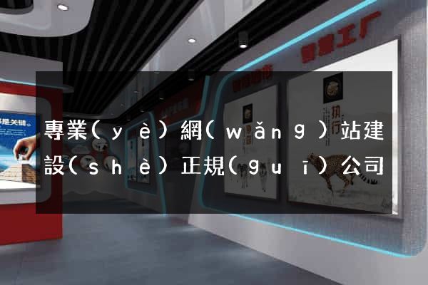 專業(yè)網(wǎng)站建設(shè)正規(guī)公司