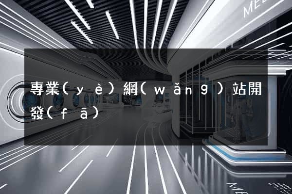 專業(yè)網(wǎng)站開發(fā)
