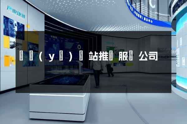 專業(yè)網站推廣服務公司