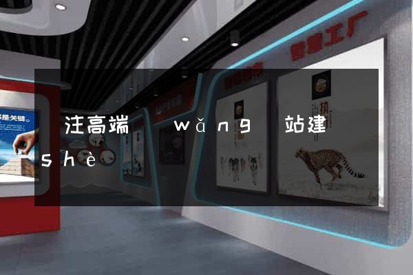 專注高端網(wǎng)站建設(shè)