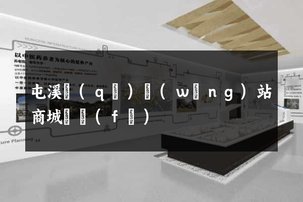 屯溪區(qū)網(wǎng)站商城開發(fā)