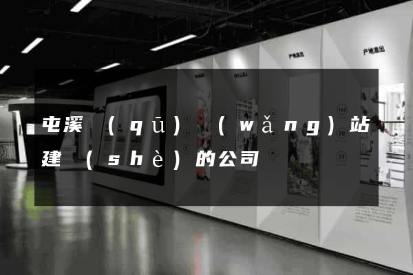 屯溪區(qū)網(wǎng)站建設(shè)的公司