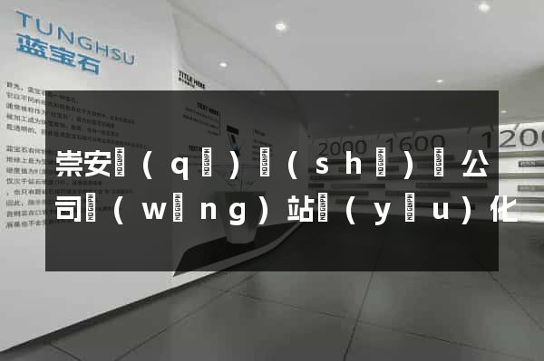 崇安區(qū)設(shè)計公司網(wǎng)站優(yōu)化