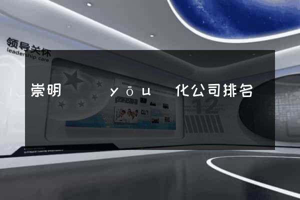 崇明縣優(yōu)化公司排名