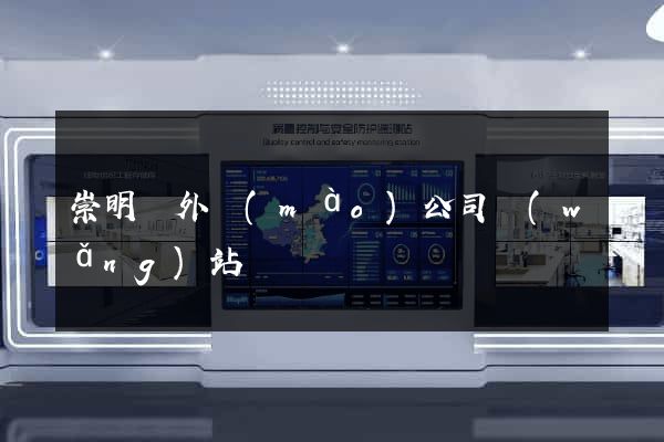 崇明縣外貿(mào)公司網(wǎng)站