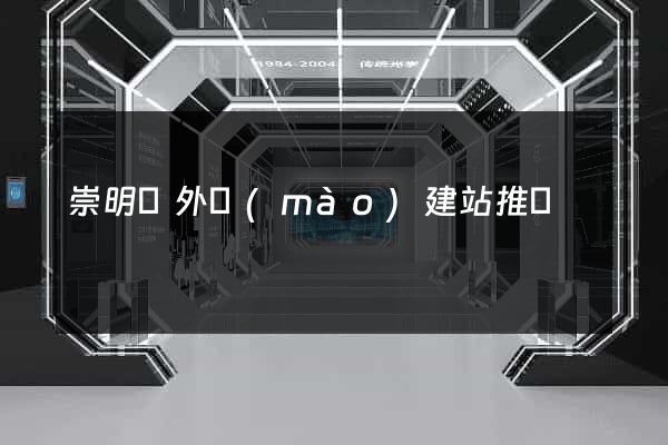 崇明縣外貿(mào)建站推廣