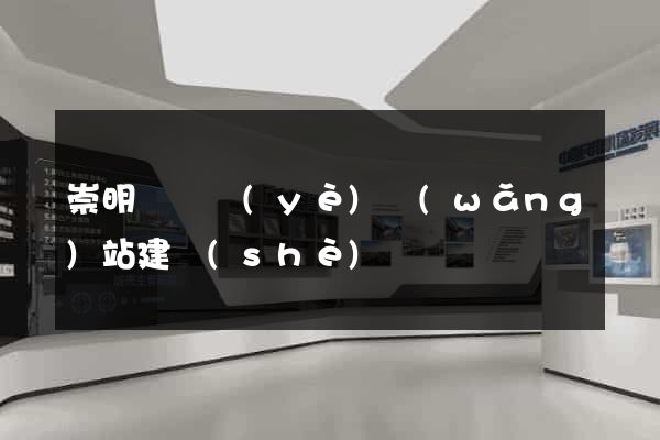 崇明縣專業(yè)網(wǎng)站建設(shè)