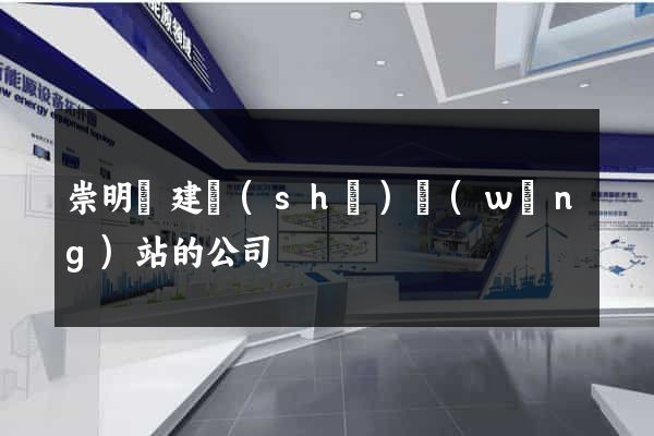 崇明縣建設(shè)網(wǎng)站的公司