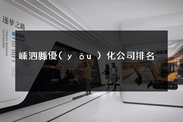 嵊泗縣優(yōu)化公司排名