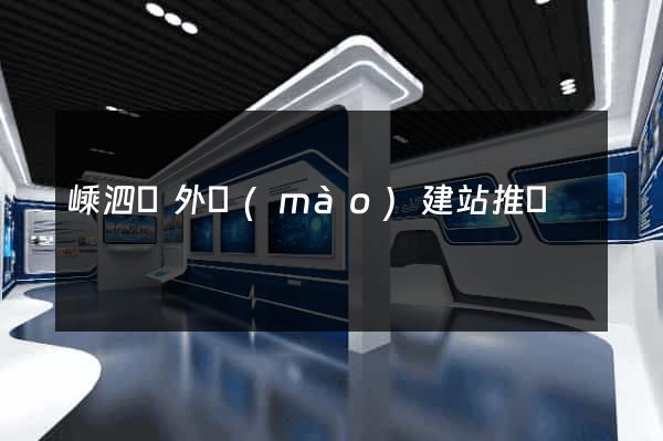 嵊泗縣外貿(mào)建站推廣
