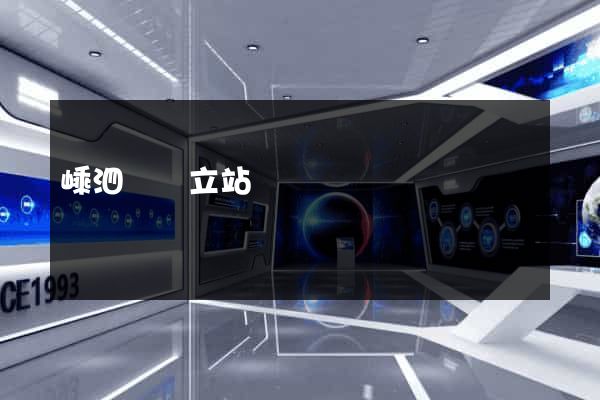 嵊泗縣獨立站運營