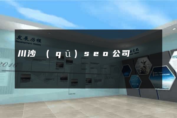 川沙區(qū)seo公司