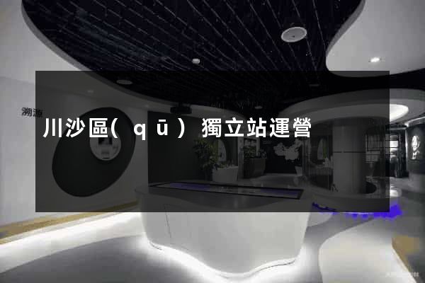 川沙區(qū)獨立站運營