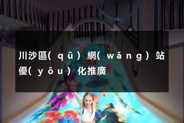 川沙區(qū)網(wǎng)站優(yōu)化推廣