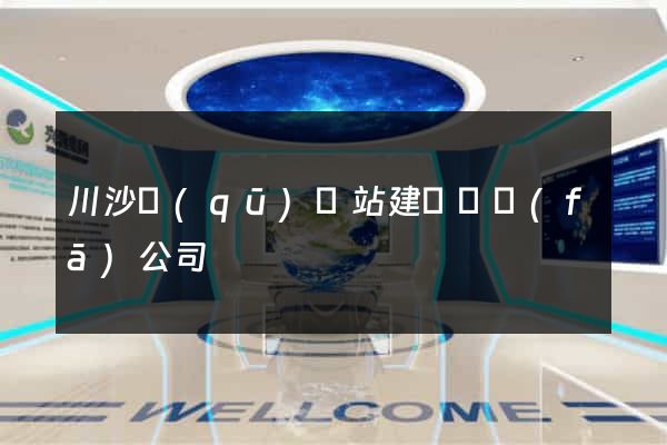 川沙區(qū)網站建設開發(fā)公司