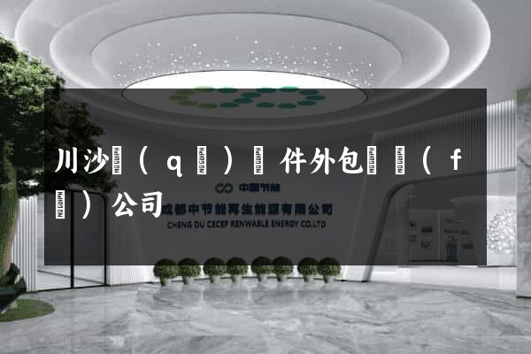 川沙區(qū)軟件外包開發(fā)公司
