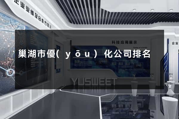 巢湖市優(yōu)化公司排名