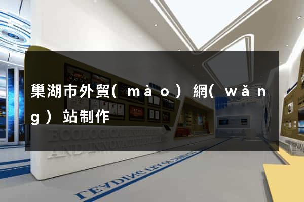 巢湖市外貿(mào)網(wǎng)站制作