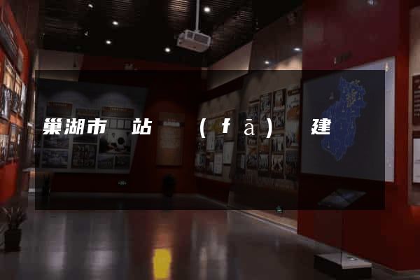 巢湖市網站開發(fā)與建設