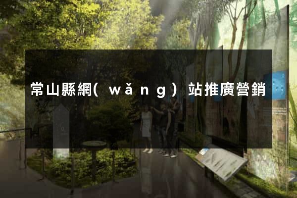常山縣網(wǎng)站推廣營銷