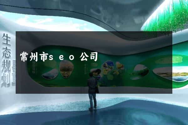 常州市seo公司