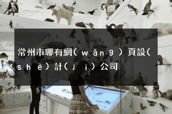 常州市哪有網(wǎng)頁設(shè)計(jì)公司