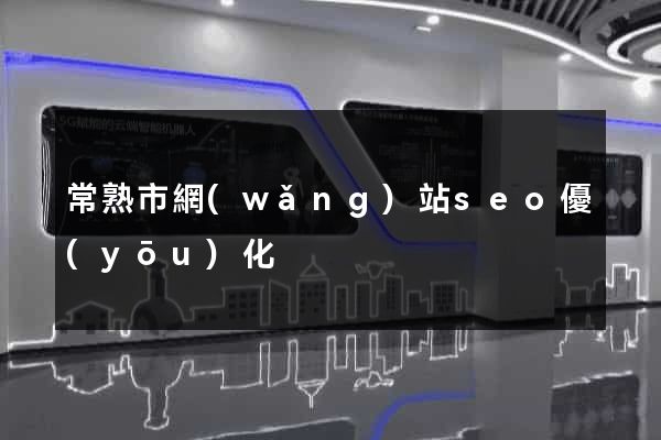 常熟市網(wǎng)站seo優(yōu)化