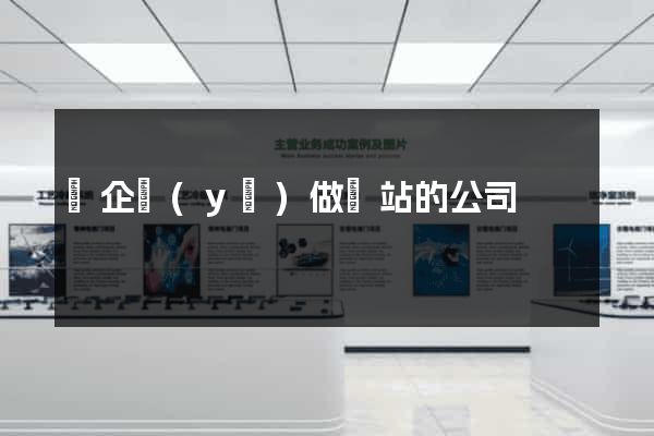 幫企業(yè)做網站的公司