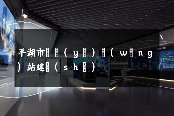 平湖市專業(yè)網(wǎng)站建設(shè)