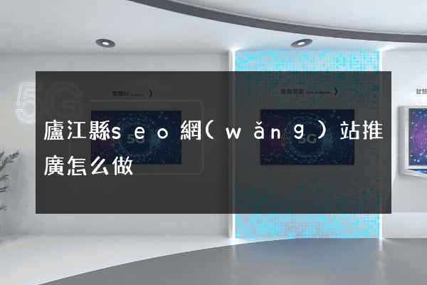 廬江縣seo網(wǎng)站推廣怎么做