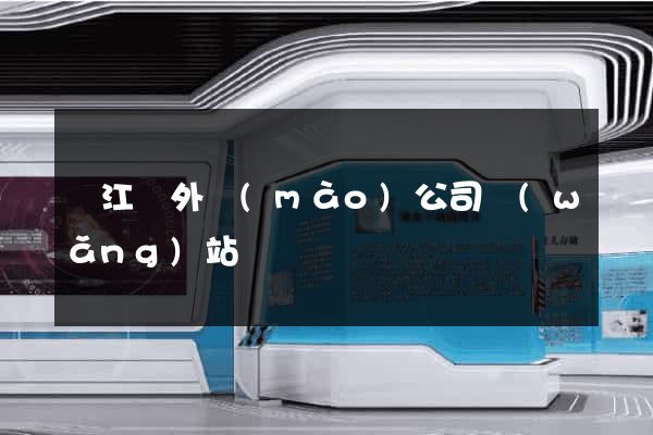 廬江縣外貿(mào)公司網(wǎng)站