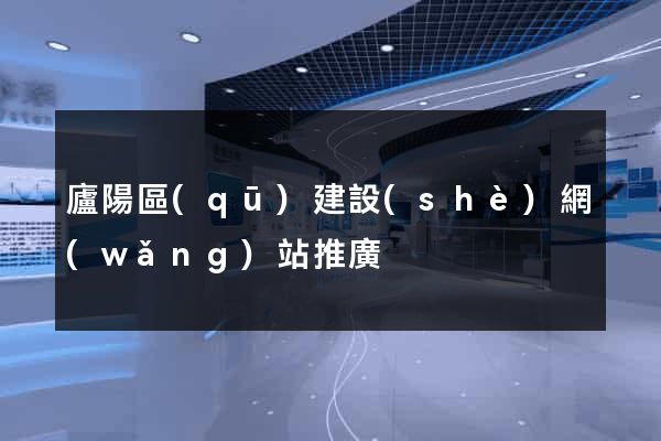 廬陽區(qū)建設(shè)網(wǎng)站推廣