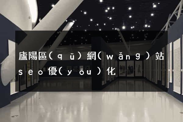 廬陽區(qū)網(wǎng)站seo優(yōu)化