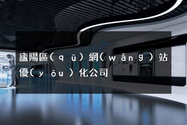 廬陽區(qū)網(wǎng)站優(yōu)化公司