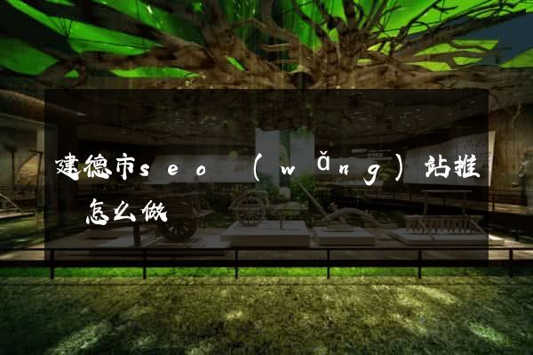 建德市seo網(wǎng)站推廣怎么做