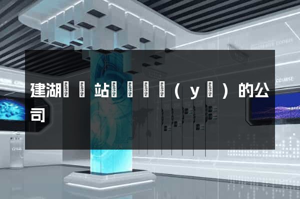 建湖縣網站設計專業(yè)的公司