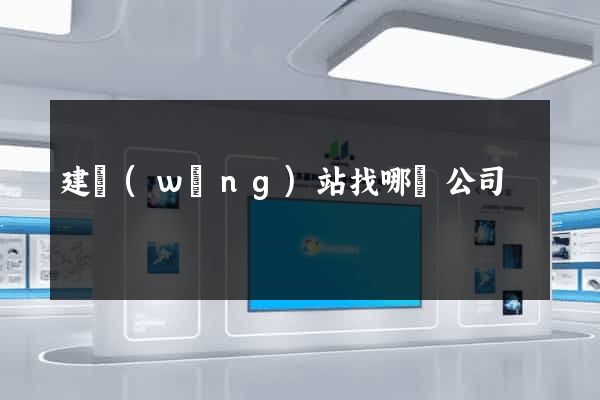 建網(wǎng)站找哪個公司