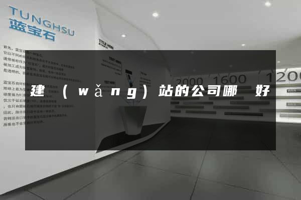 建網(wǎng)站的公司哪個好