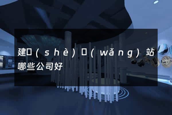 建設(shè)網(wǎng)站哪些公司好