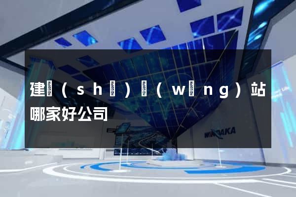 建設(shè)網(wǎng)站哪家好公司