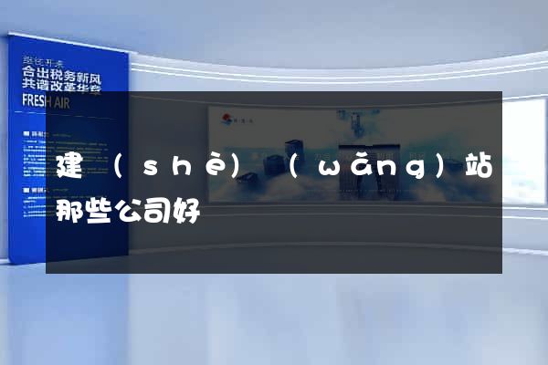 建設(shè)網(wǎng)站那些公司好