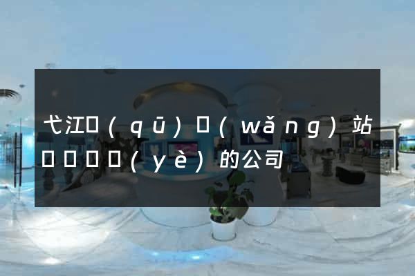 弋江區(qū)網(wǎng)站設計專業(yè)的公司