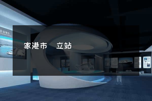張家港市獨立站運營