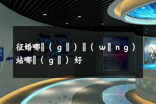 征婚哪個(gè)網(wǎng)站哪個(gè)好