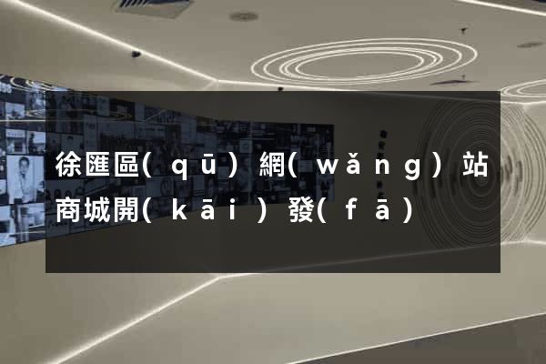 徐匯區(qū)網(wǎng)站商城開(kāi)發(fā)