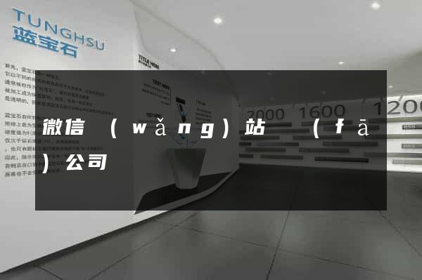 微信網(wǎng)站開發(fā)公司