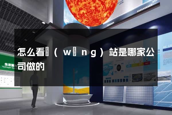 怎么看網(wǎng)站是哪家公司做的