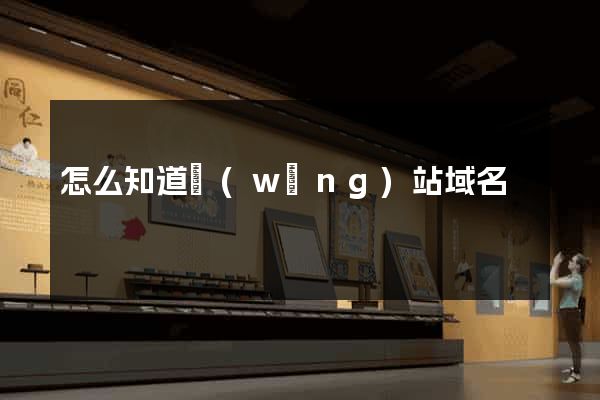 怎么知道網(wǎng)站域名