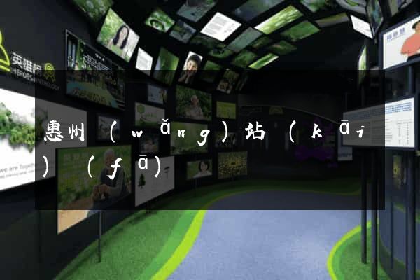 惠州網(wǎng)站開(kāi)發(fā)